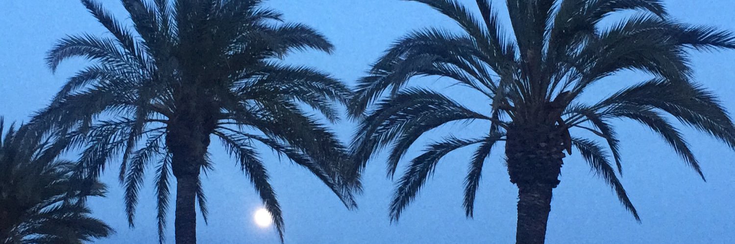 MariaVazquez0's profile banner image
