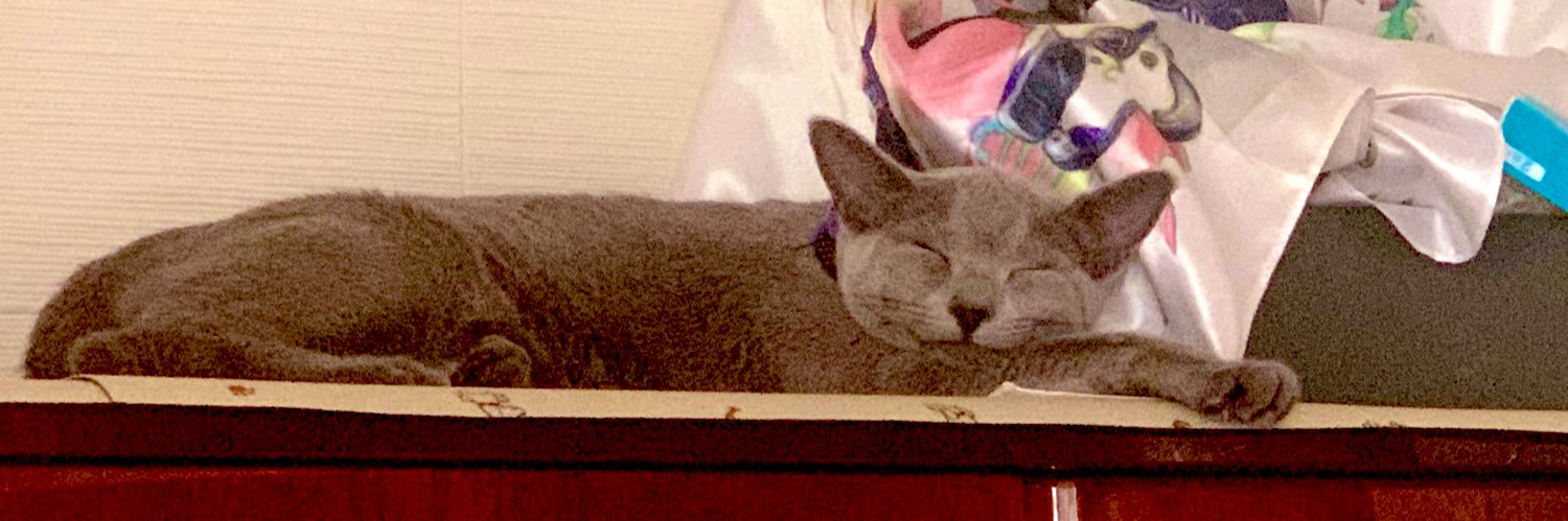 chao107's profile banner image