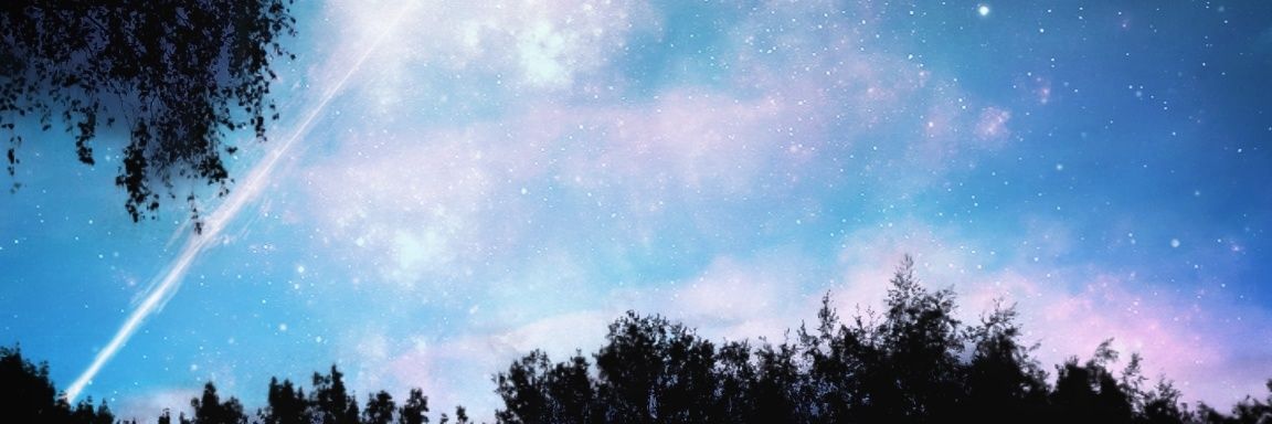 nvkathy's profile banner image