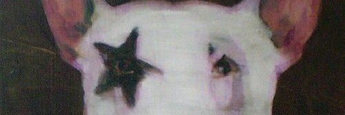 tacodeazucar123's profile banner image