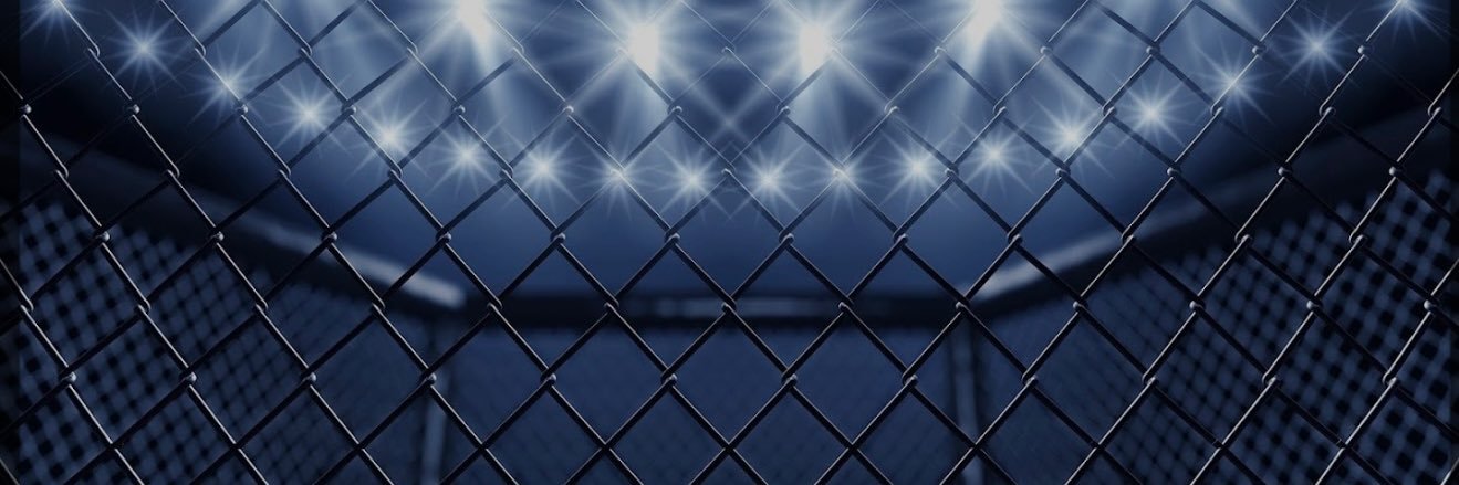 Electric Brawl banner