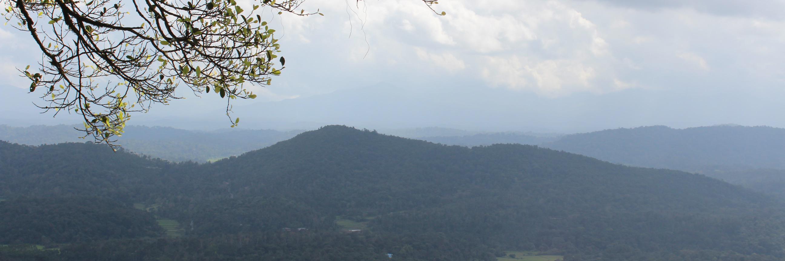 Sahas Malhotra banner