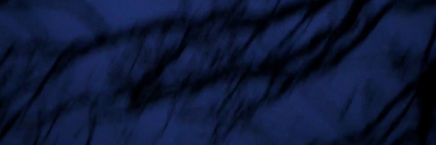wode9's banner