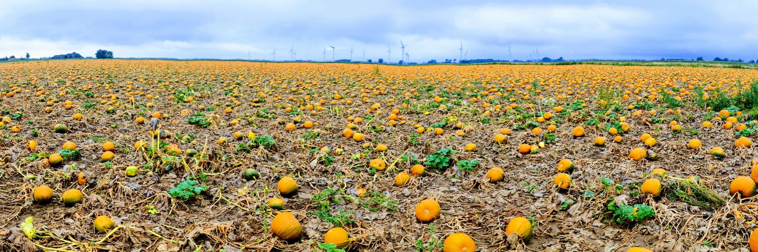 Robert Ambrose banner