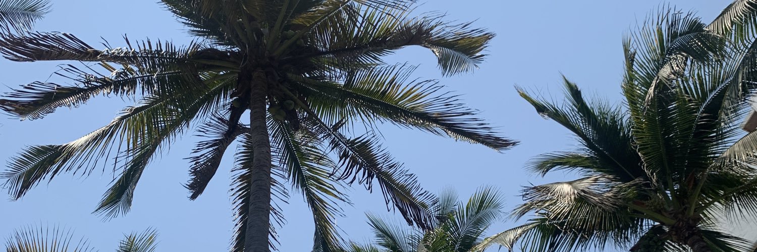 hecdponce's profile banner image