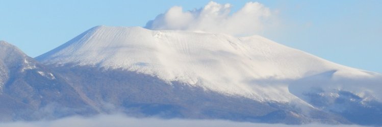 nisinotomozou banner