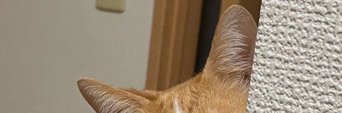 100m200mrunR's profile banner image