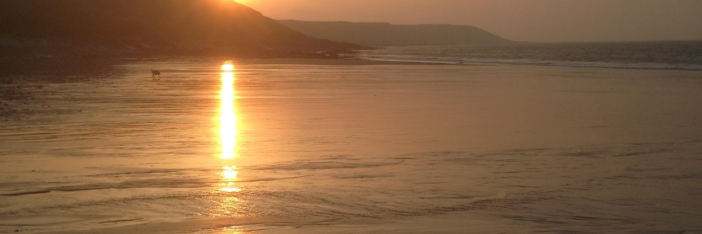 WelshBish's profile banner image