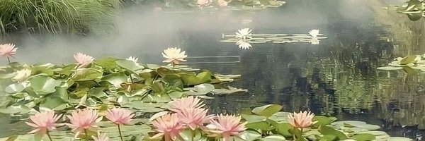 dolcelumme Profile Banner