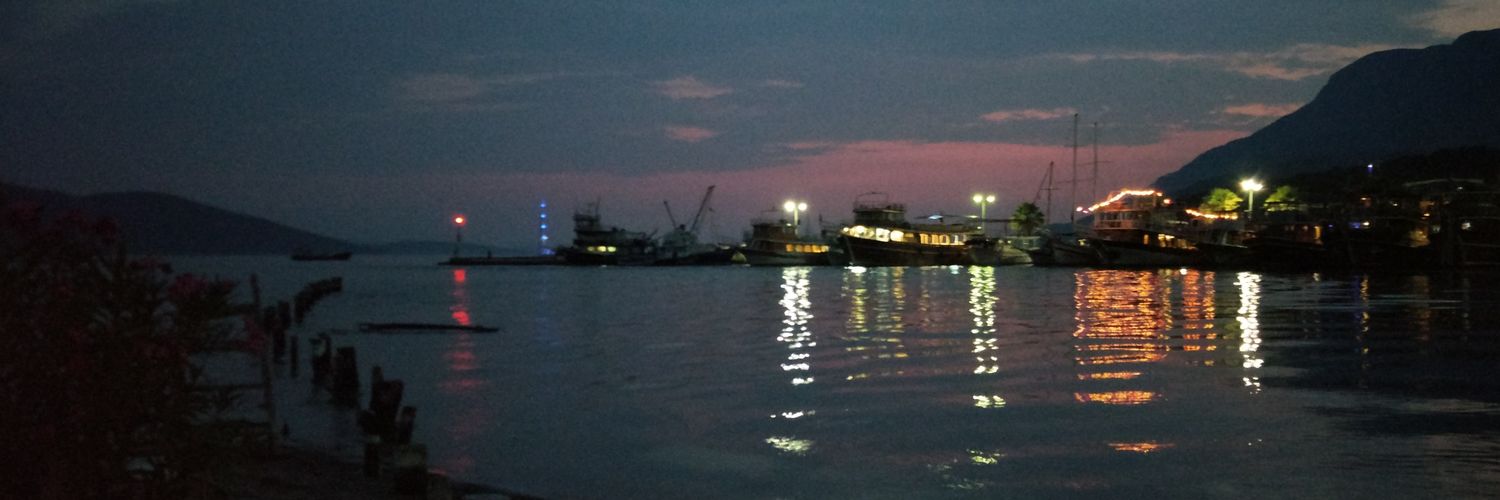 sercio__'s profile banner image