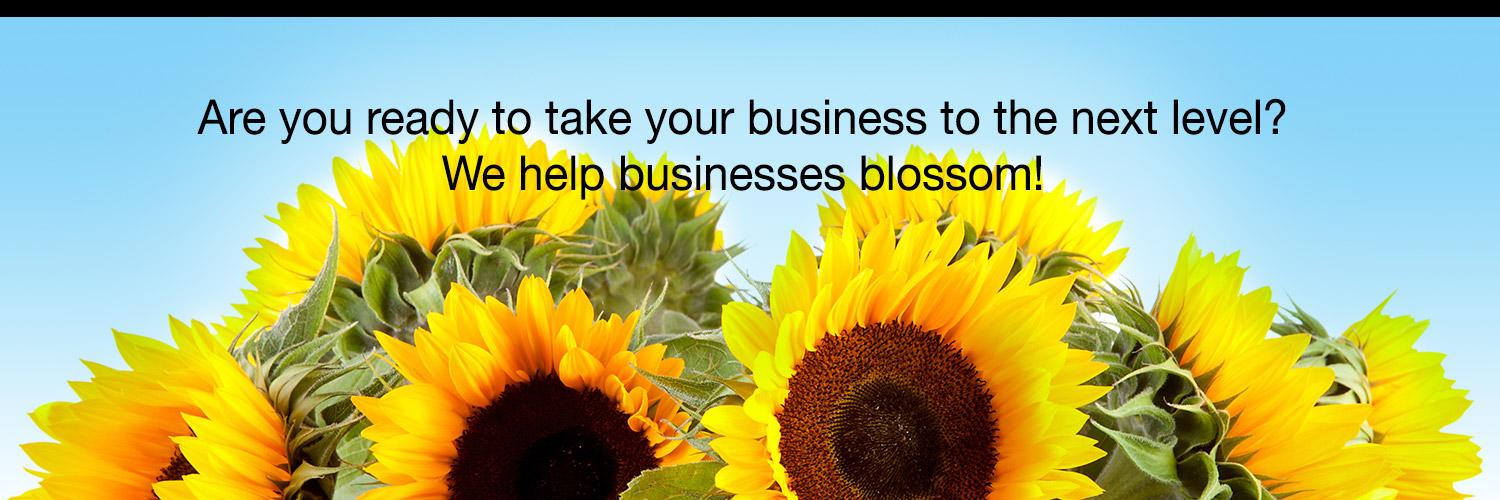 WedgewoodDesign's profile banner image