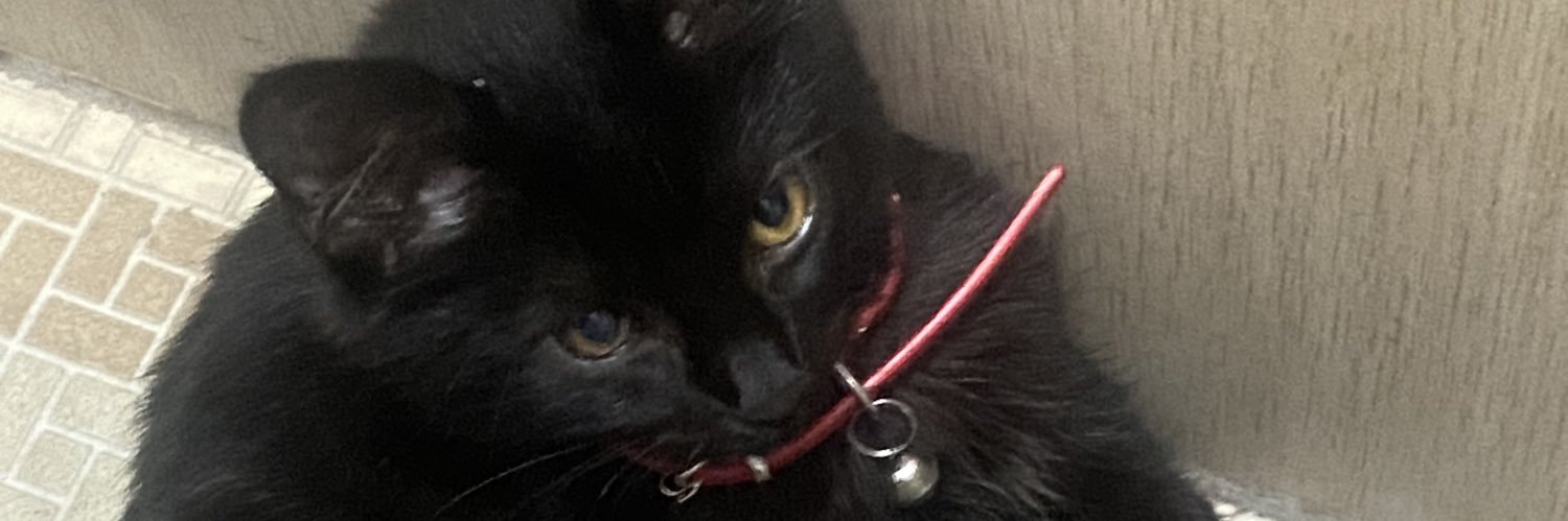 Detail jualan DAU cek pinned 📌 banner