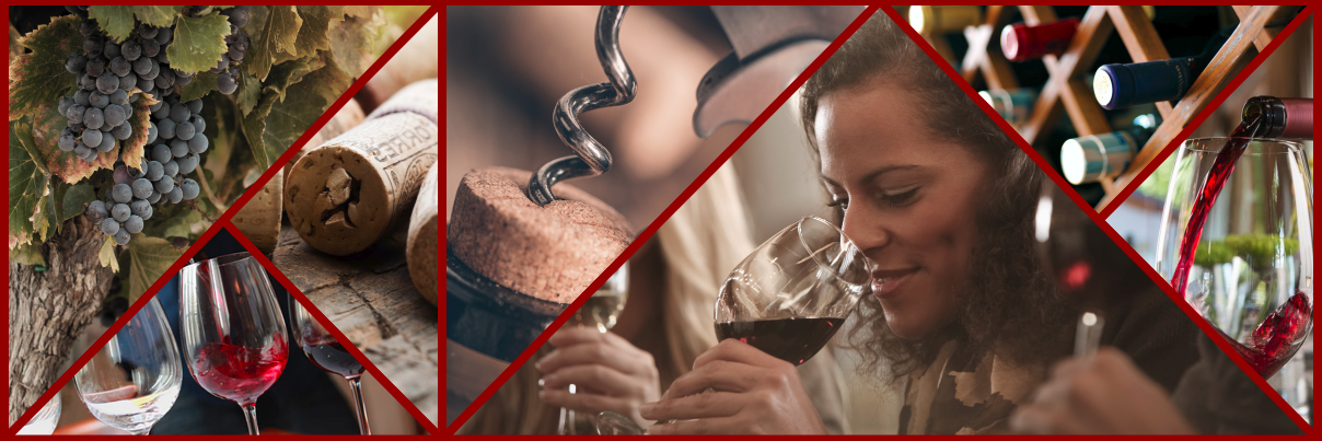 BestWineGuide's profile banner image