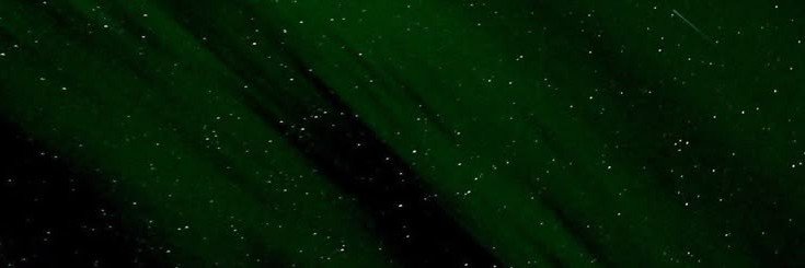 Dzelicacy's profile banner image