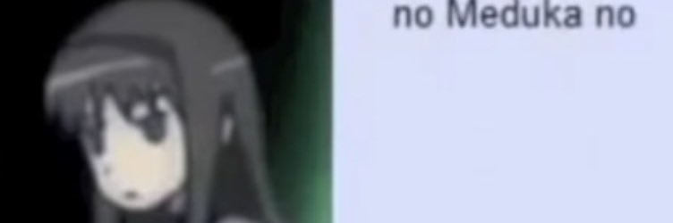 ∑(ﾟДﾟ) nonsense fan's banner