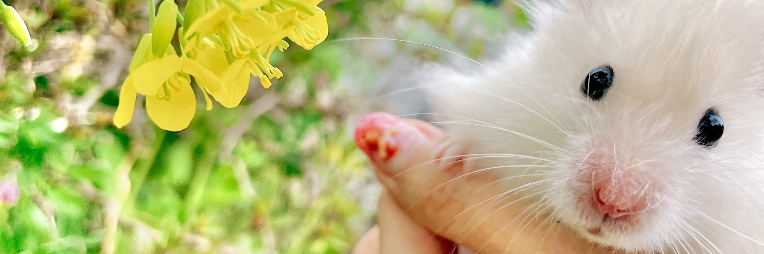 i_kerry's profile banner image