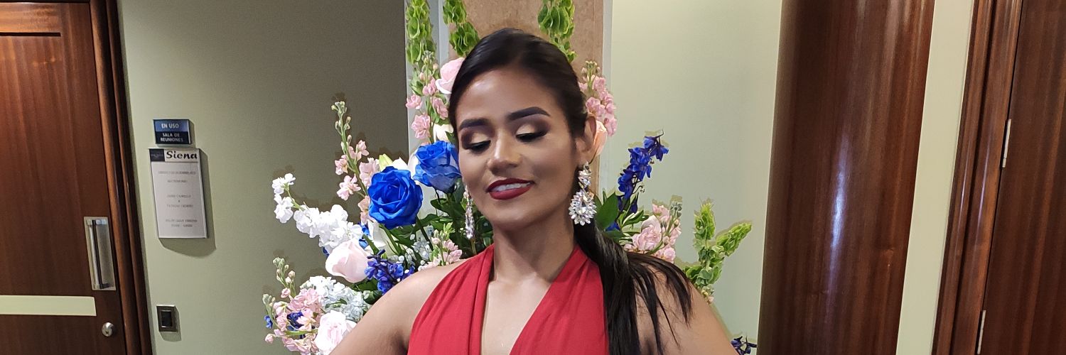 Ibisilla's profile banner image