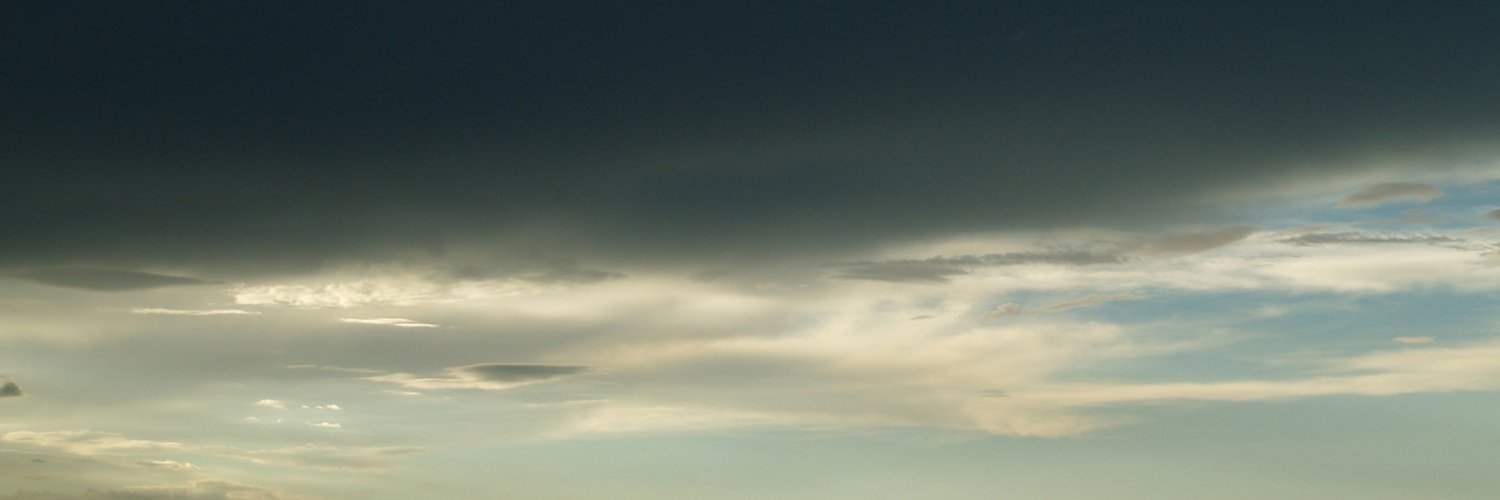 Estropienne's profile banner image