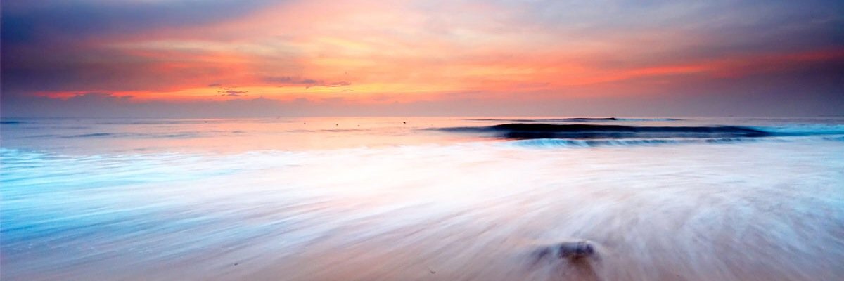 Claudia Montero banner