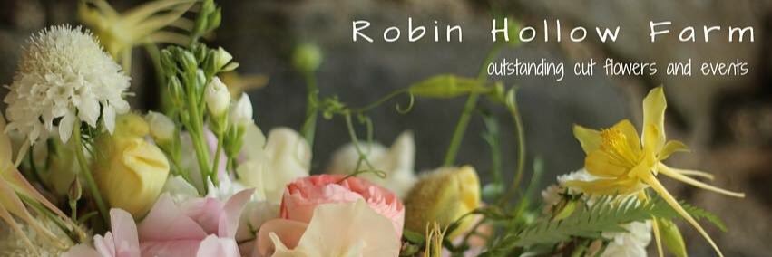 RobinHollow's profile banner image