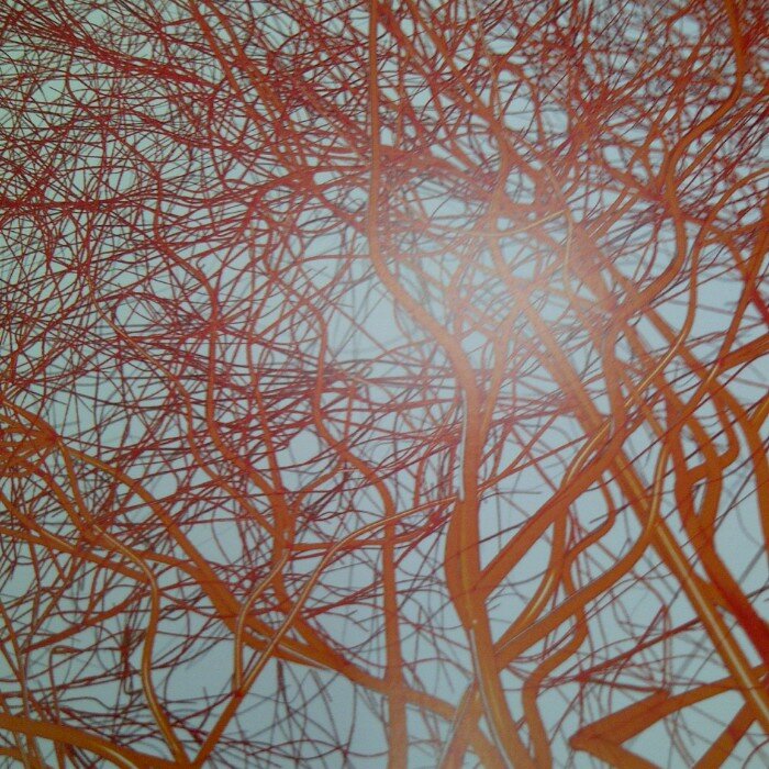 Serafín Carballo banner