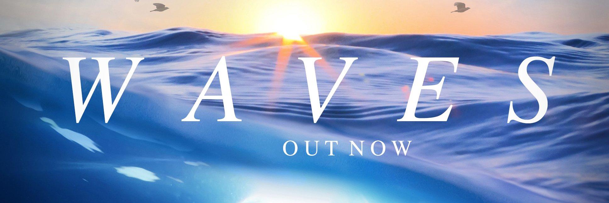 Michael Parsons banner