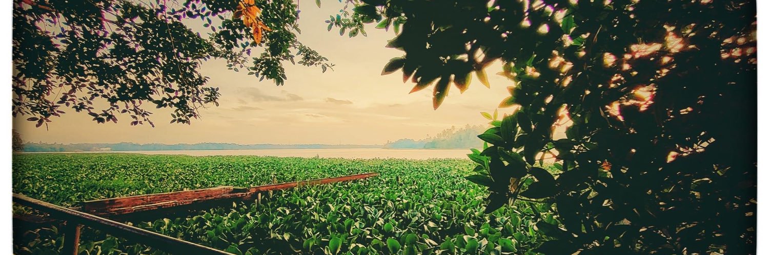 kwaroox's profile banner image