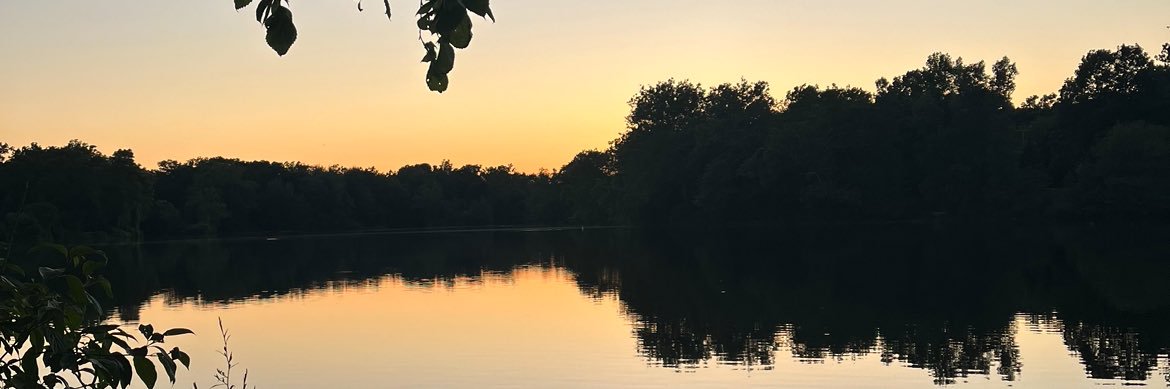 Isabella Tehrani banner