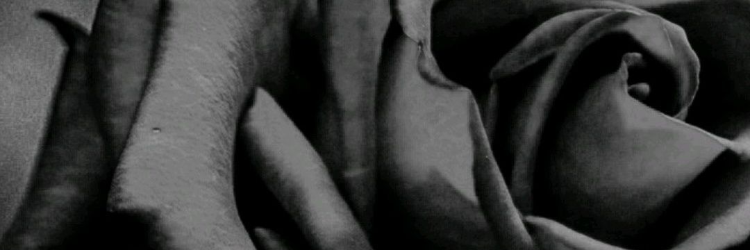 Witte_777's profile banner image