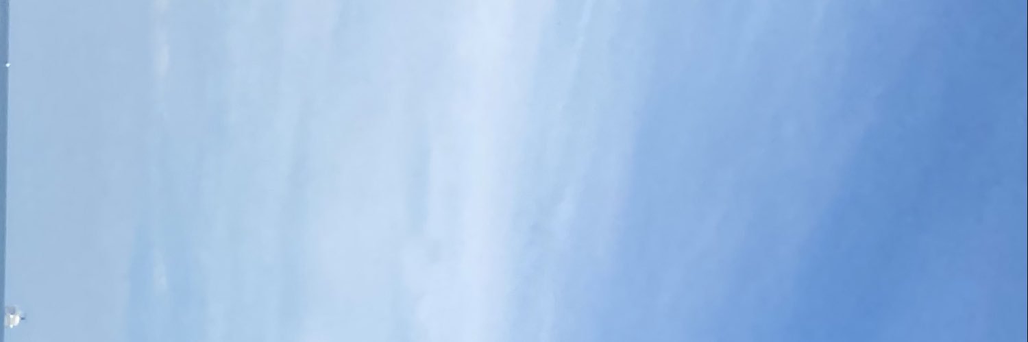 TT 🧚🏾‍♀️ banner