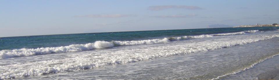 Alessandra Zeta banner