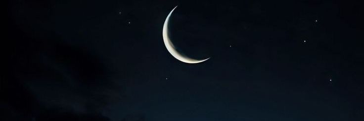 عبدالبصير بالعربية banner