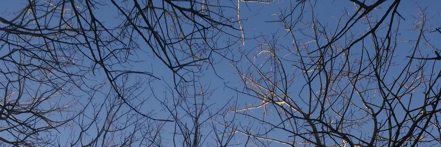 camsiry's profile banner image