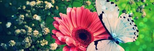 _lauap's profile banner image