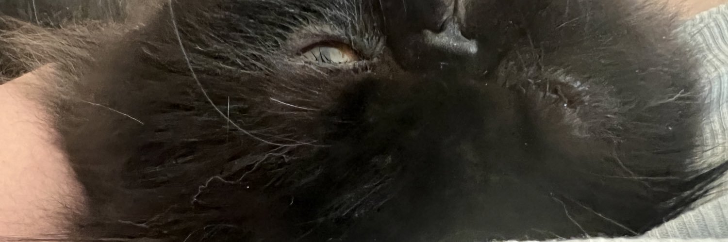 Annafiee's profile banner image