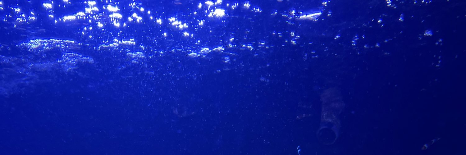 Menali1607's profile banner image