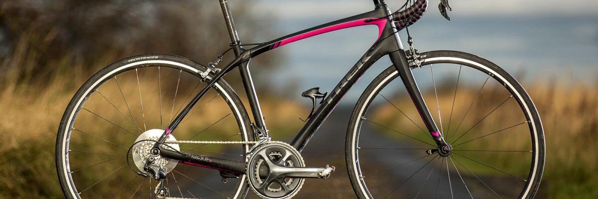 Julie_Bedus's profile banner image