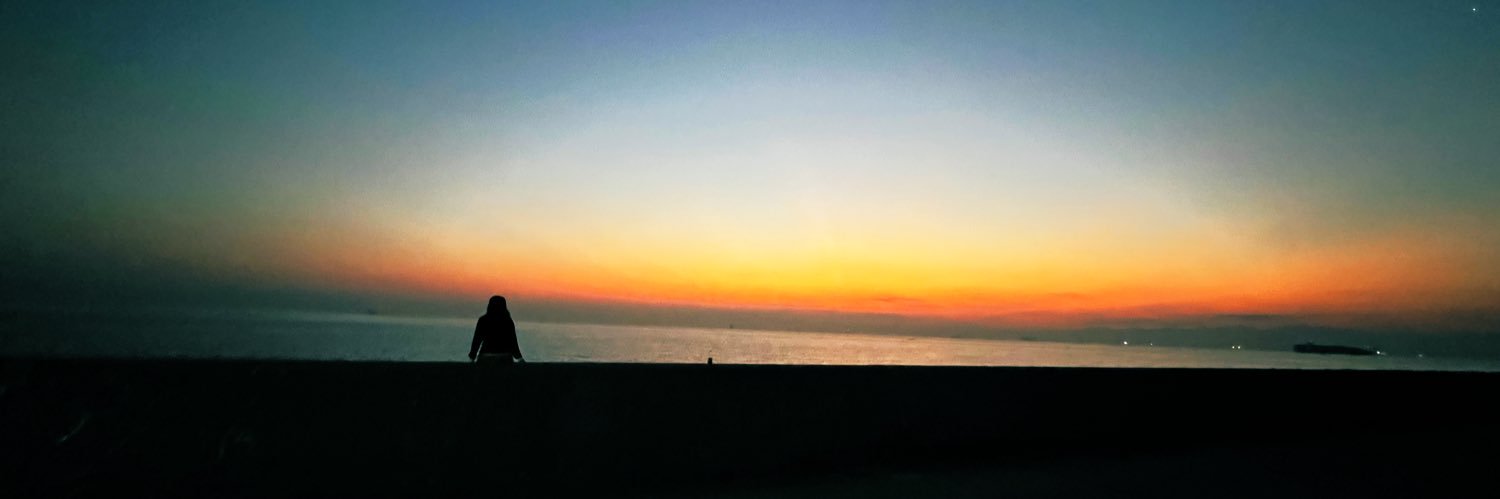 PiPiVFR's profile banner image