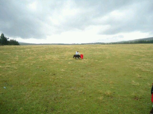 AlvaroMSC's profile banner image