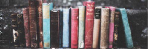 libraryladygrey's profile banner image
