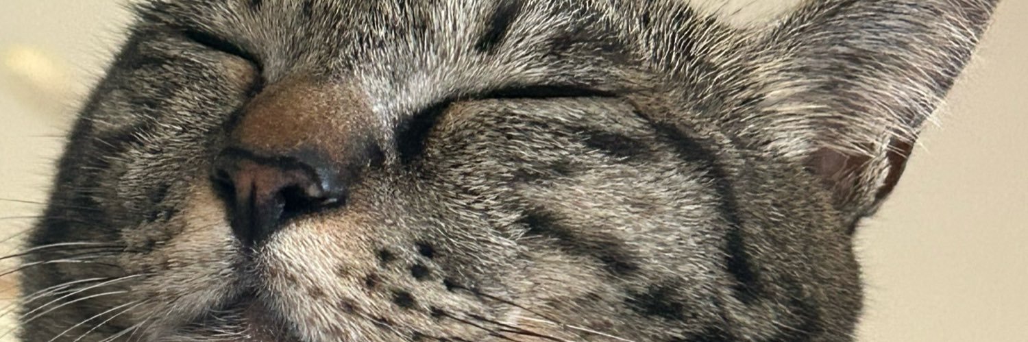 Syadou5648's profile banner image