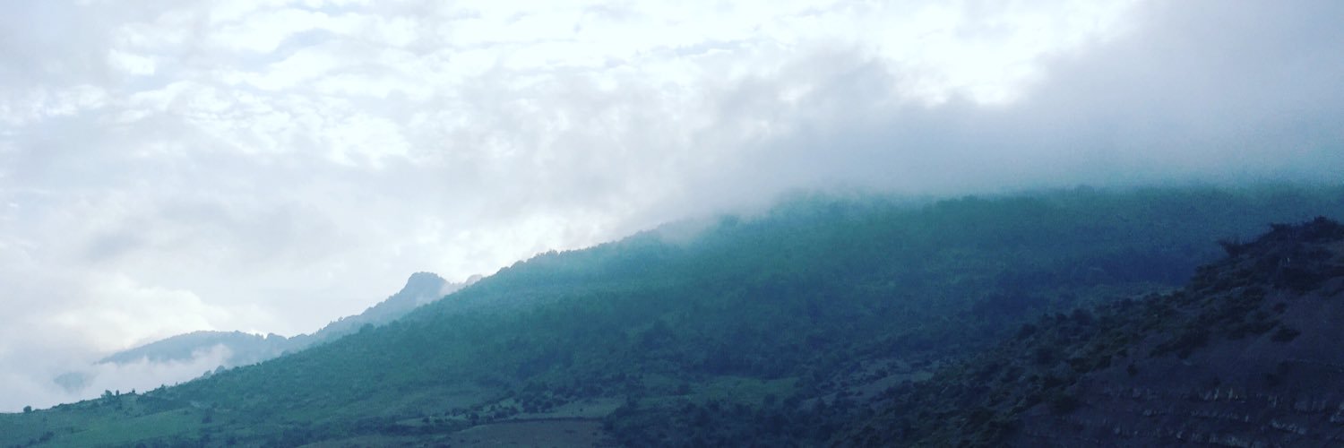 ziarlarimi's profile banner image