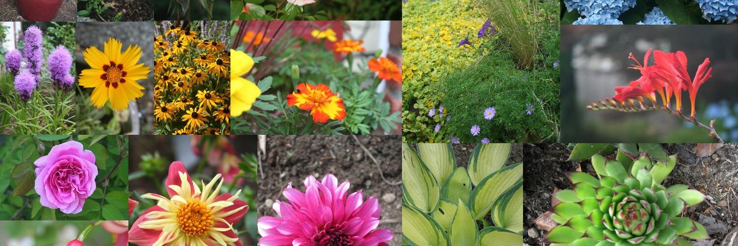 Shruti Mukhtyar banner