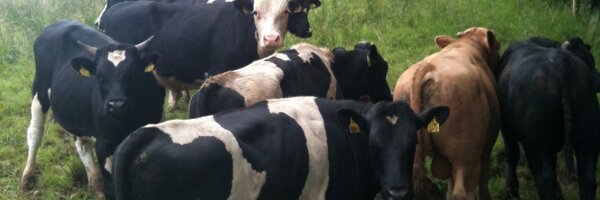 20units Profile Banner