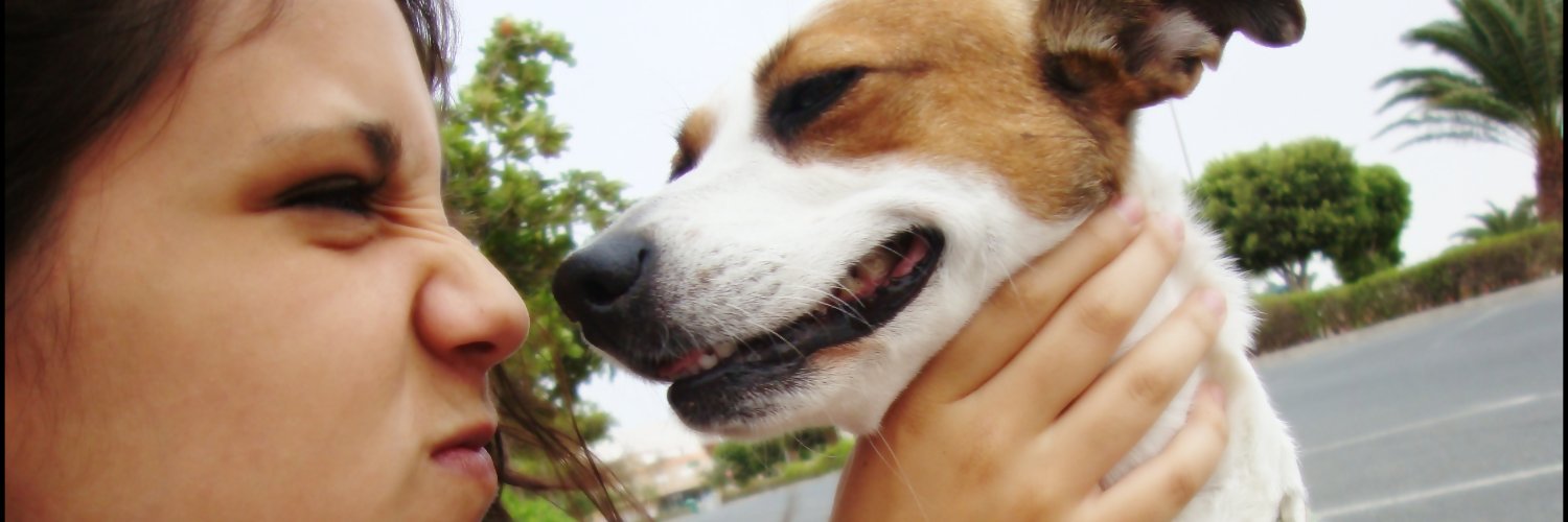 LuzmaFalcon's profile banner image