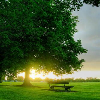 abo_adelia's profile banner image