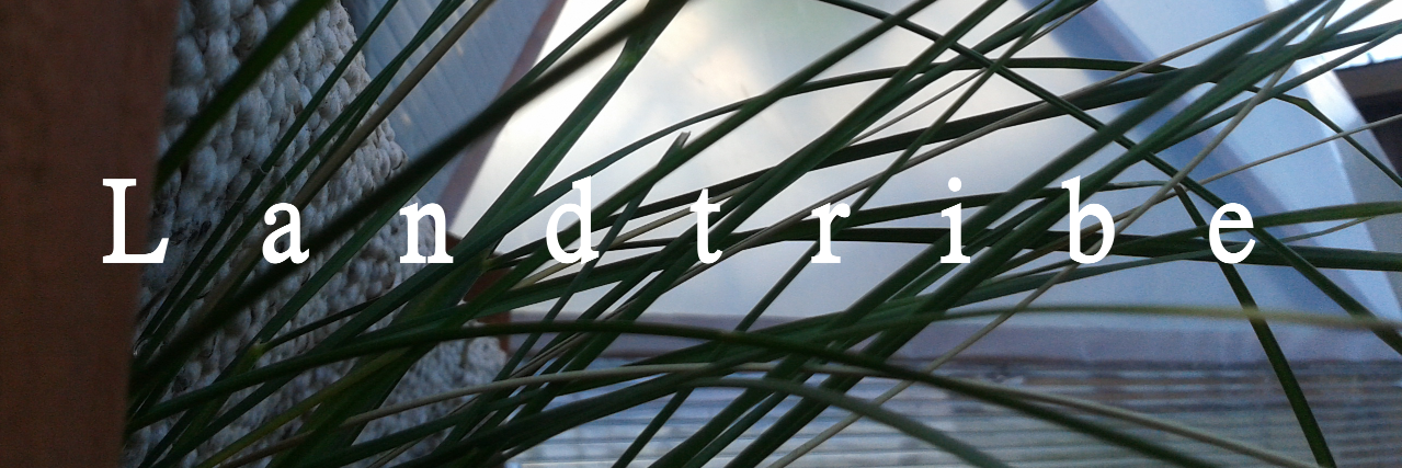LandTribe's profile banner image