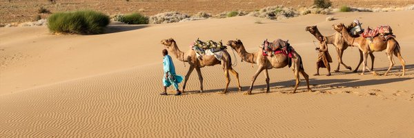 sc2014319 Profile Banner