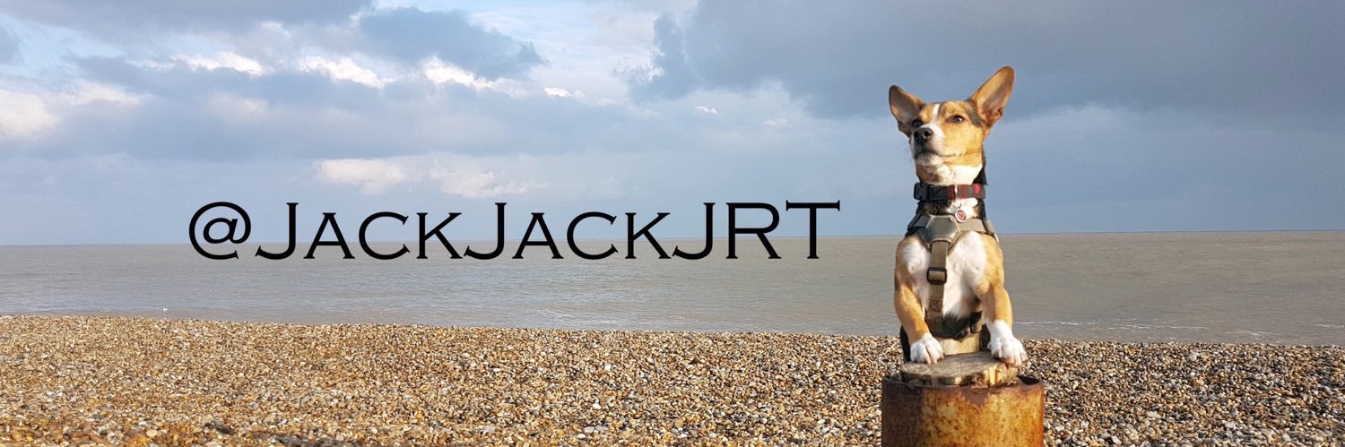 JackJack banner