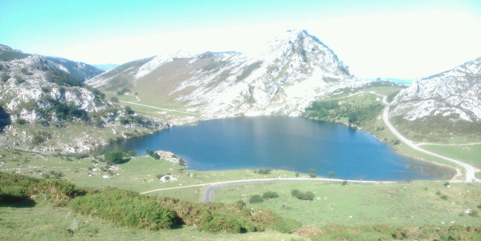 susana__glez's profile banner image